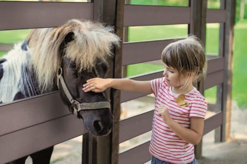 WPC Fencing for Pet-Friendly Properties: Safety and Durability by Yandi Aluminum